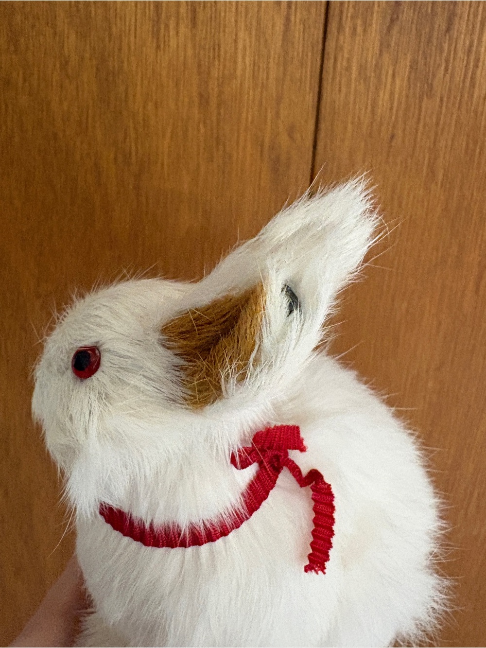 Realistic Rabbit Model Using Real Fur - Picture 5 of 7